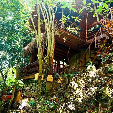 Jungle Face Inn 엘라 외부 사진