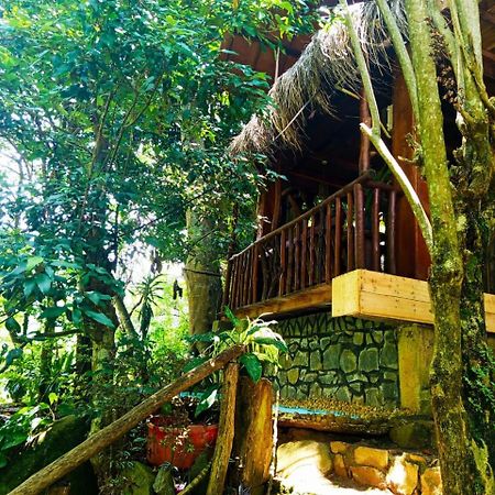 Jungle Face Inn 엘라 외부 사진