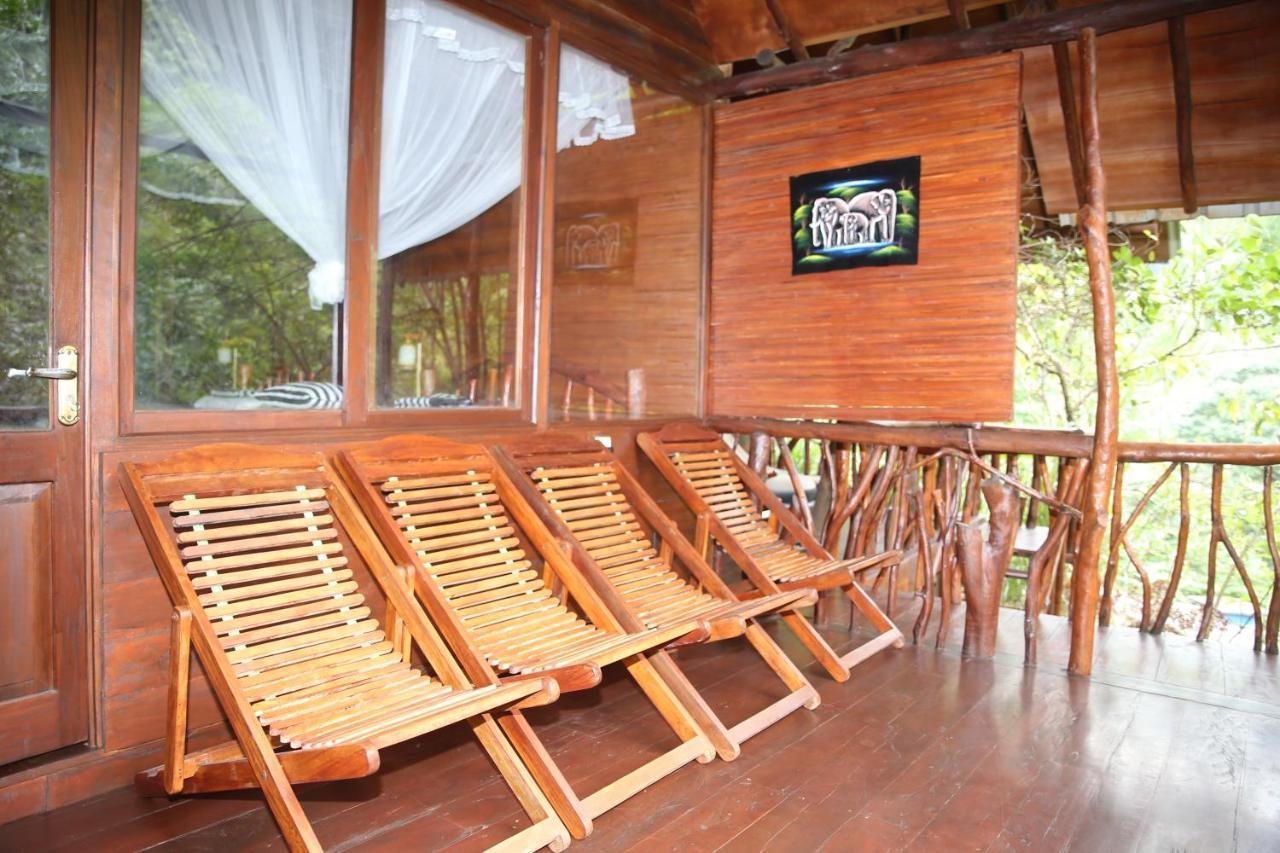 Jungle Face Inn 엘라 외부 사진