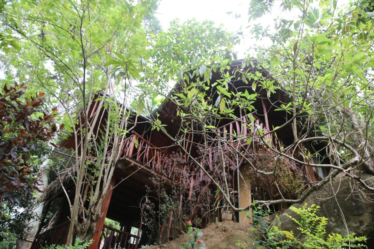 Jungle Face Inn 엘라 외부 사진