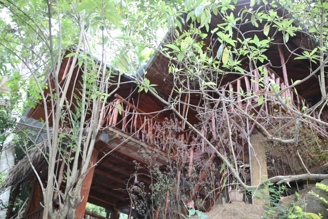 Jungle Face Inn 엘라 외부 사진