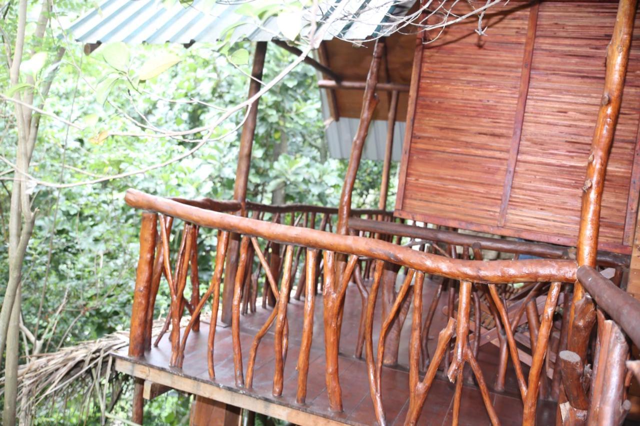 Jungle Face Inn 엘라 외부 사진