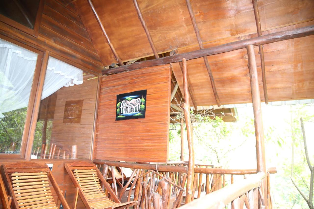 Jungle Face Inn 엘라 외부 사진