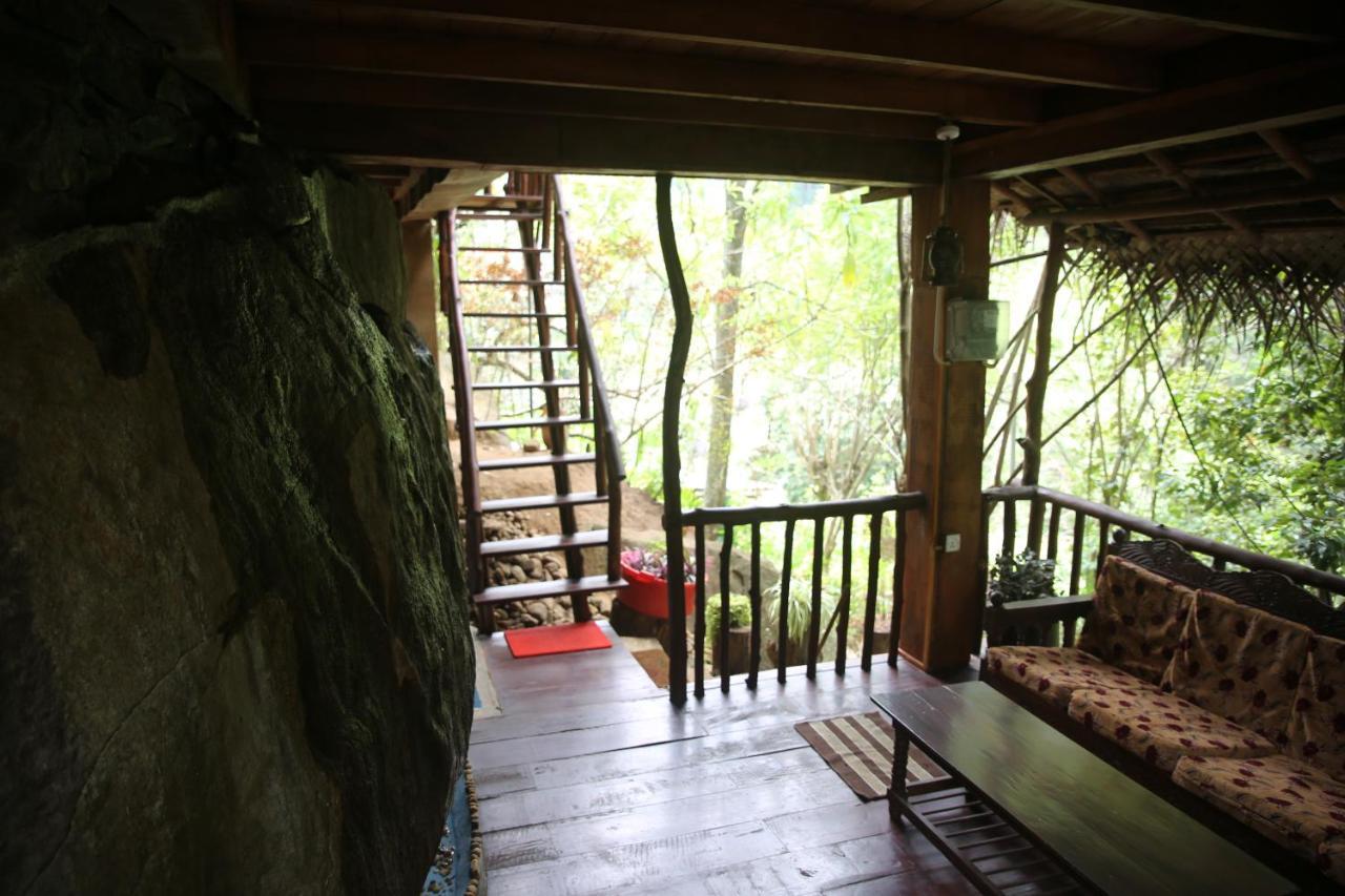 Jungle Face Inn 엘라 외부 사진