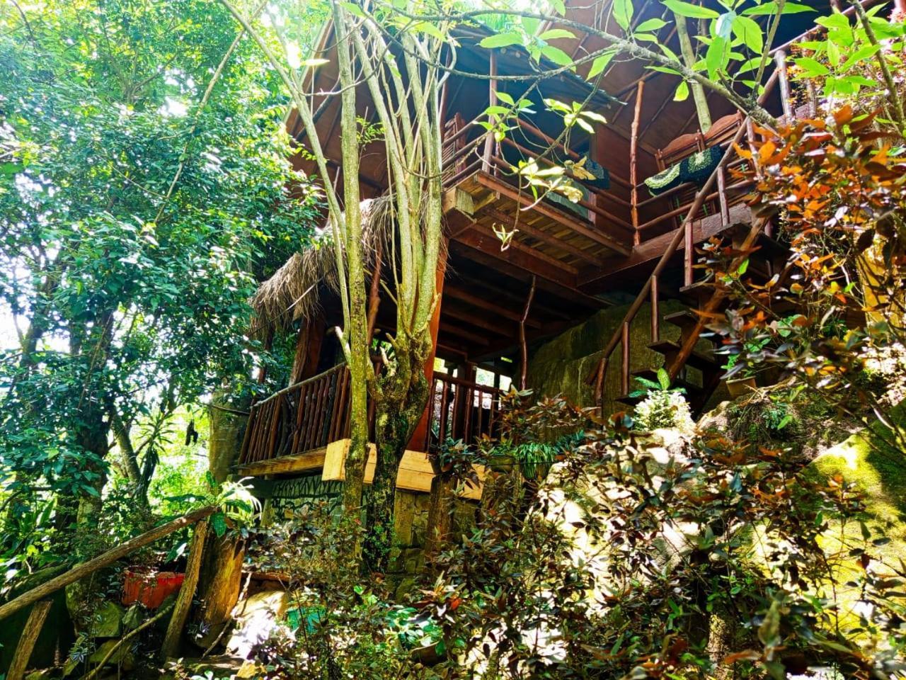 Jungle Face Inn 엘라 외부 사진