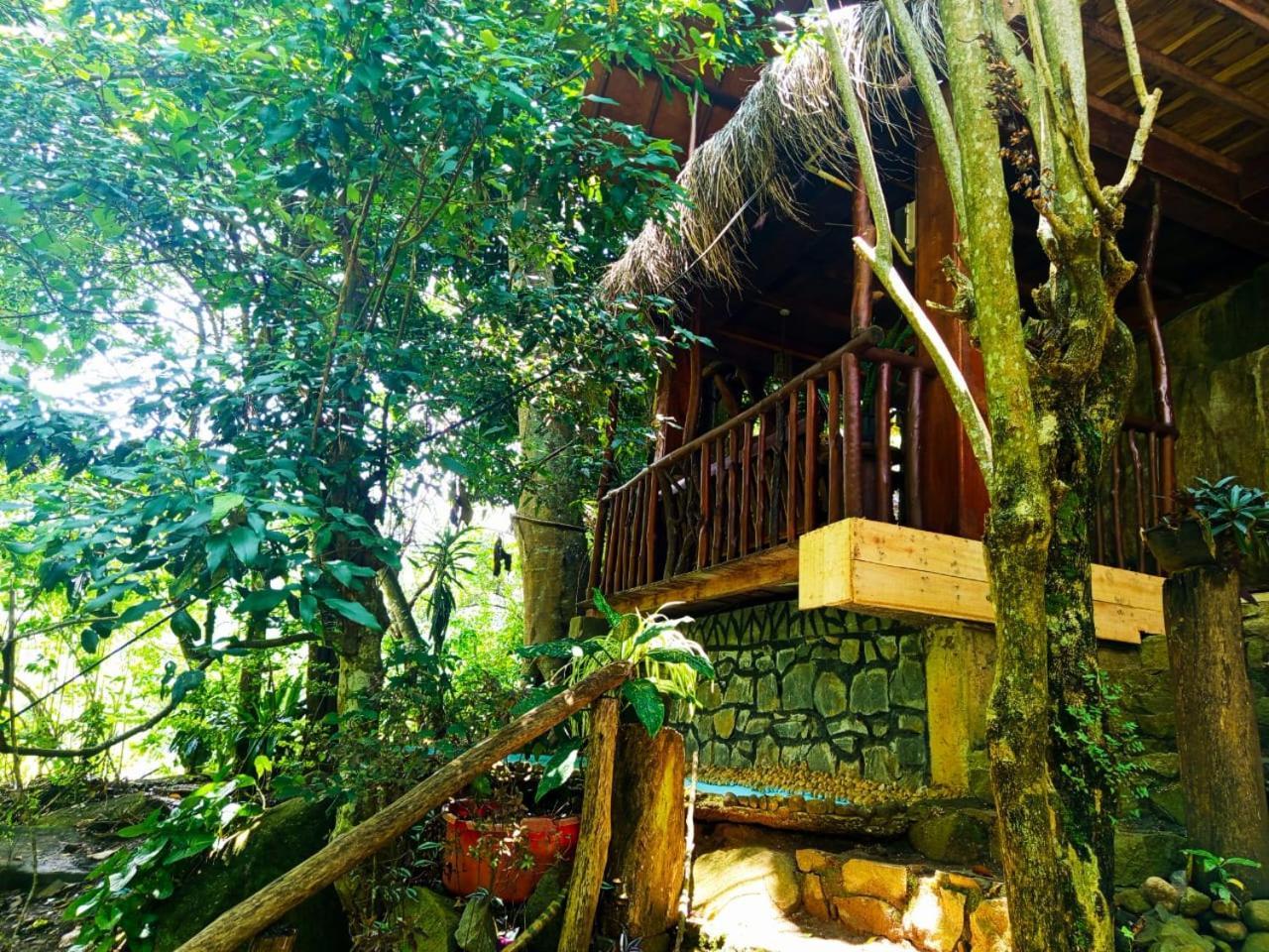 Jungle Face Inn 엘라 외부 사진