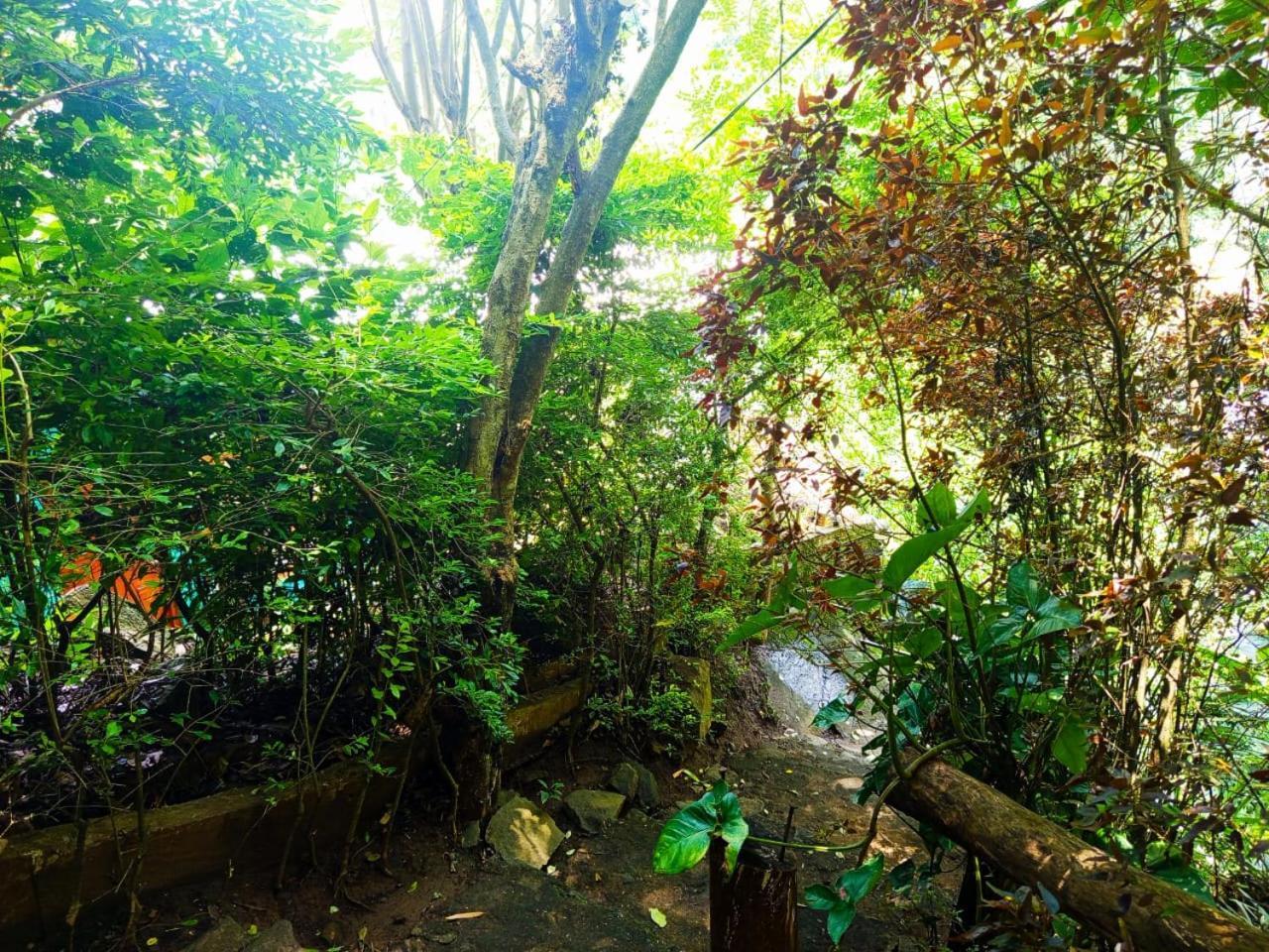 Jungle Face Inn 엘라 외부 사진