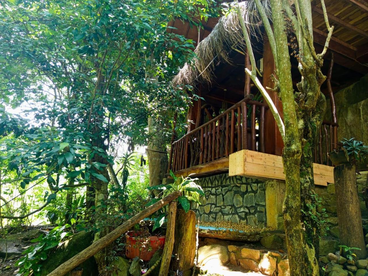 Jungle Face Inn 엘라 외부 사진