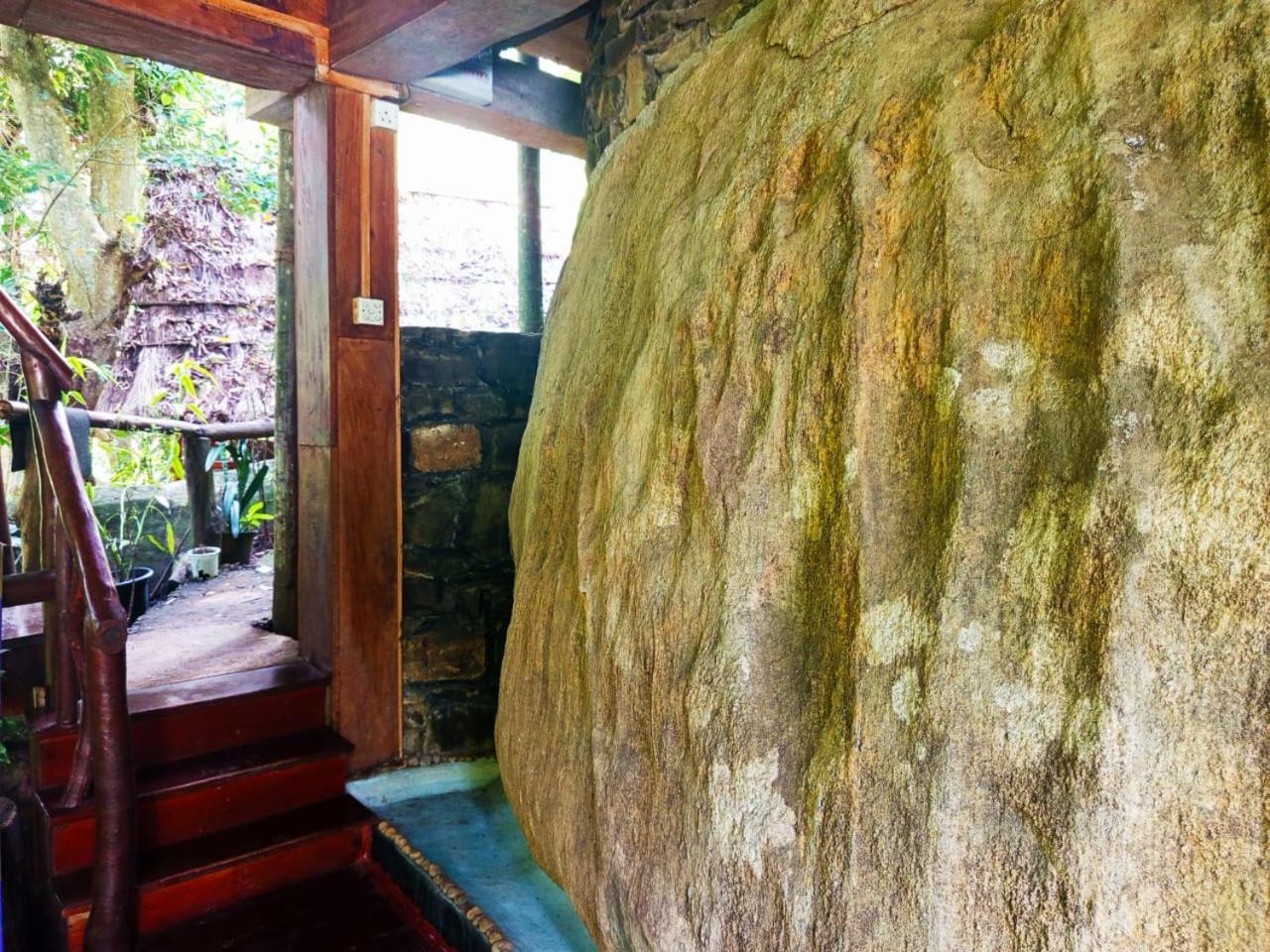 Jungle Face Inn 엘라 외부 사진