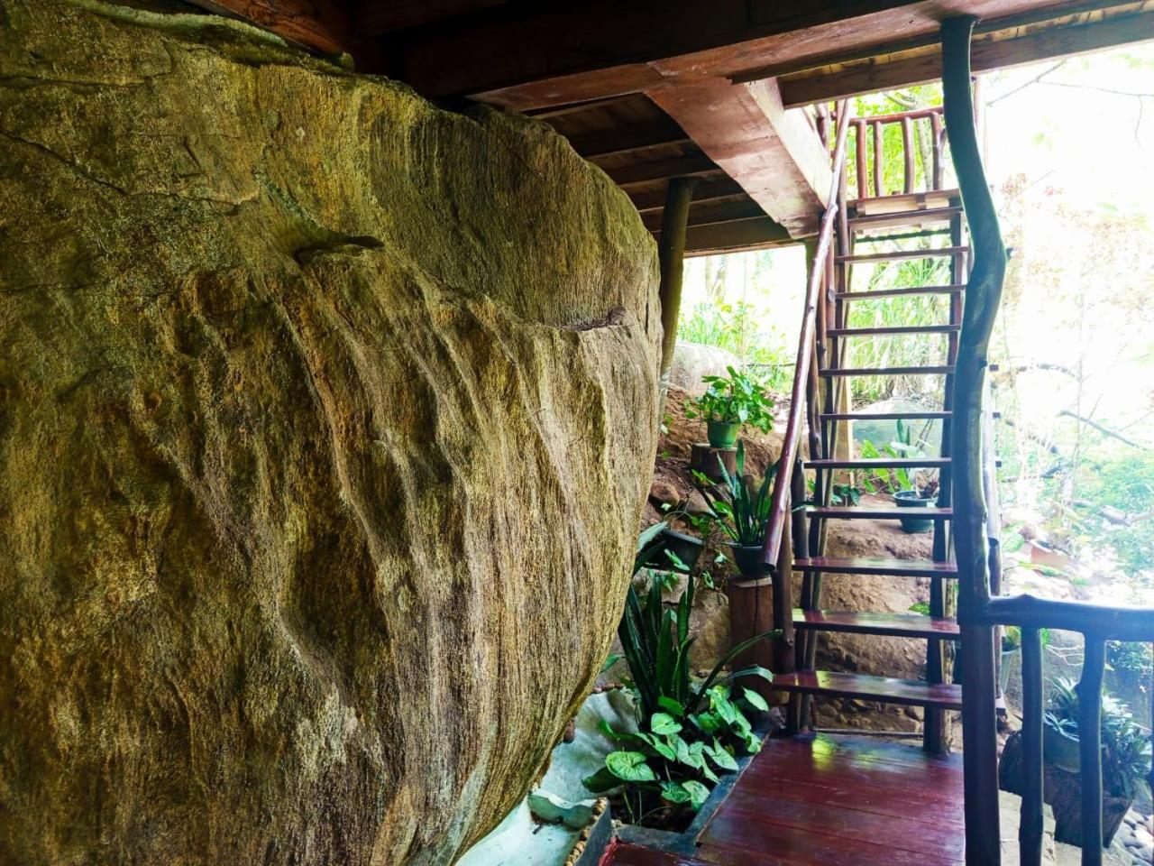 Jungle Face Inn 엘라 외부 사진