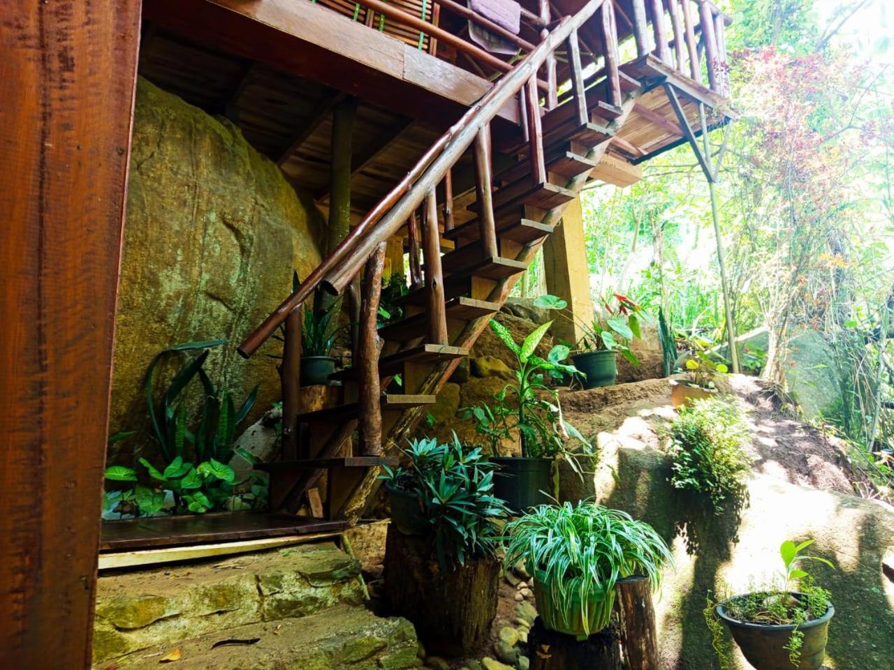 Jungle Face Inn 엘라 외부 사진