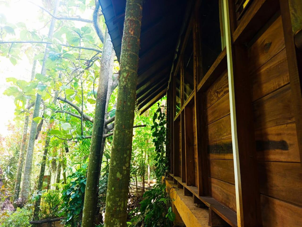 Jungle Face Inn 엘라 외부 사진