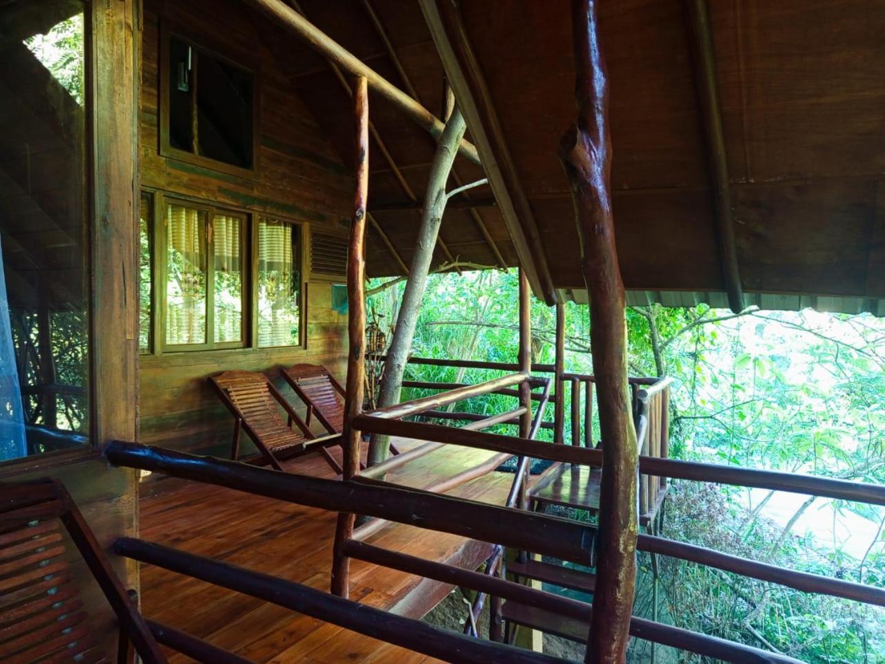 Jungle Face Inn 엘라 외부 사진