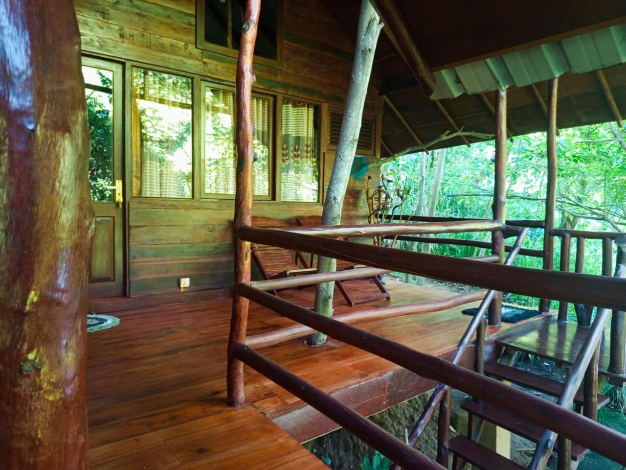 Jungle Face Inn 엘라 외부 사진