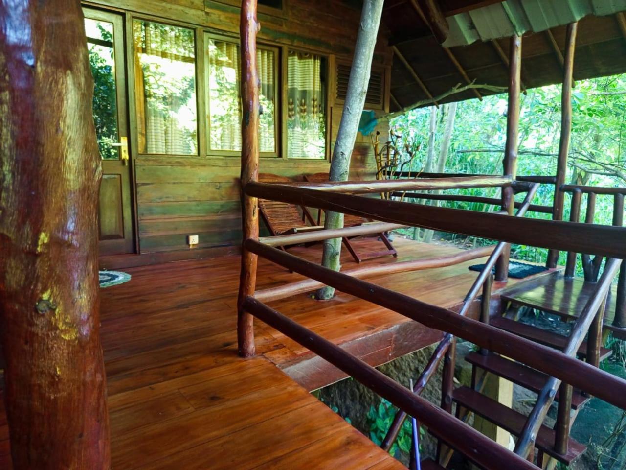 Jungle Face Inn 엘라 외부 사진