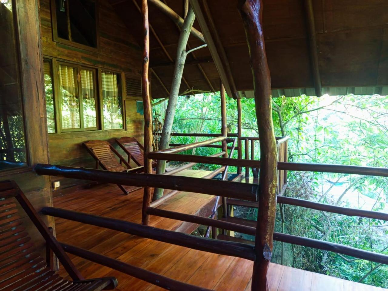 Jungle Face Inn 엘라 외부 사진