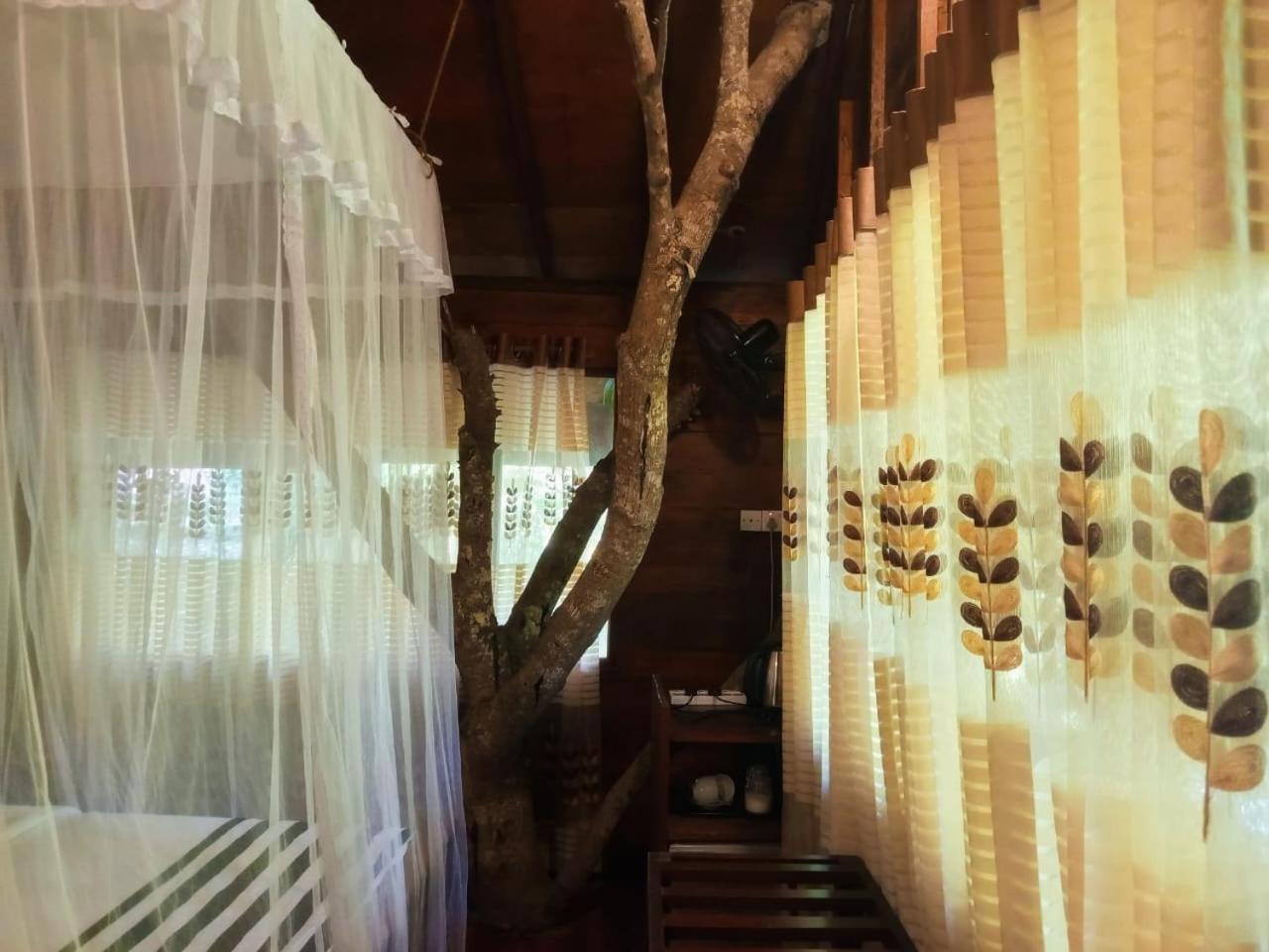 Jungle Face Inn 엘라 외부 사진