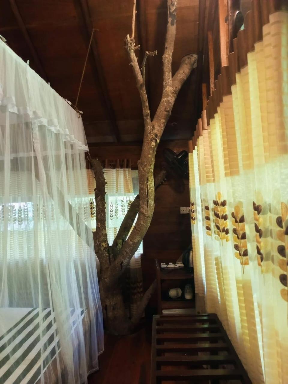 Jungle Face Inn 엘라 외부 사진