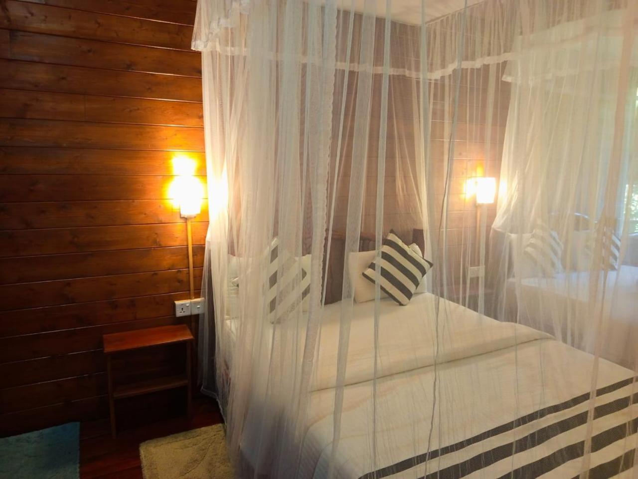 Jungle Face Inn 엘라 외부 사진