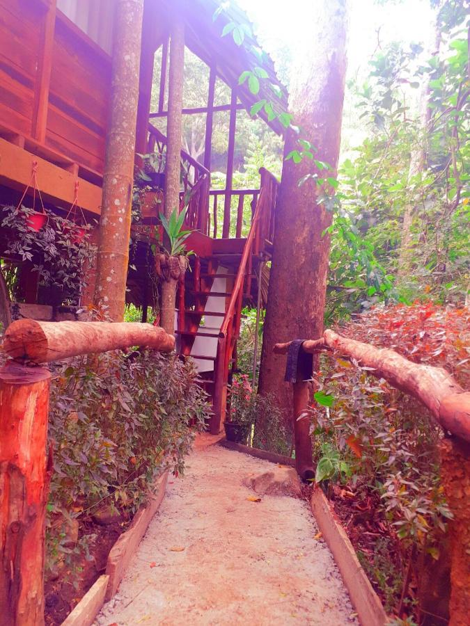 Jungle Face Inn 엘라 외부 사진